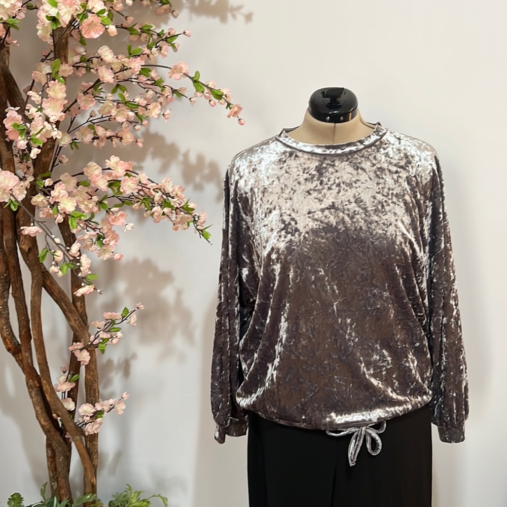 Silver velvet blouse